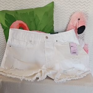 Wild Fable Women's White Distressed Shorts